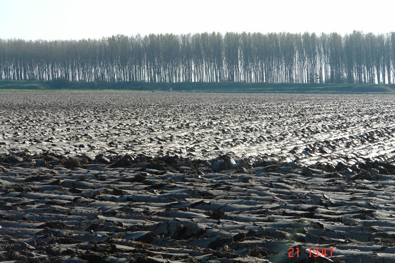Apart Hotel Het Veerse Meer คอร์ทเคเนอ ภายนอก รูปภาพ